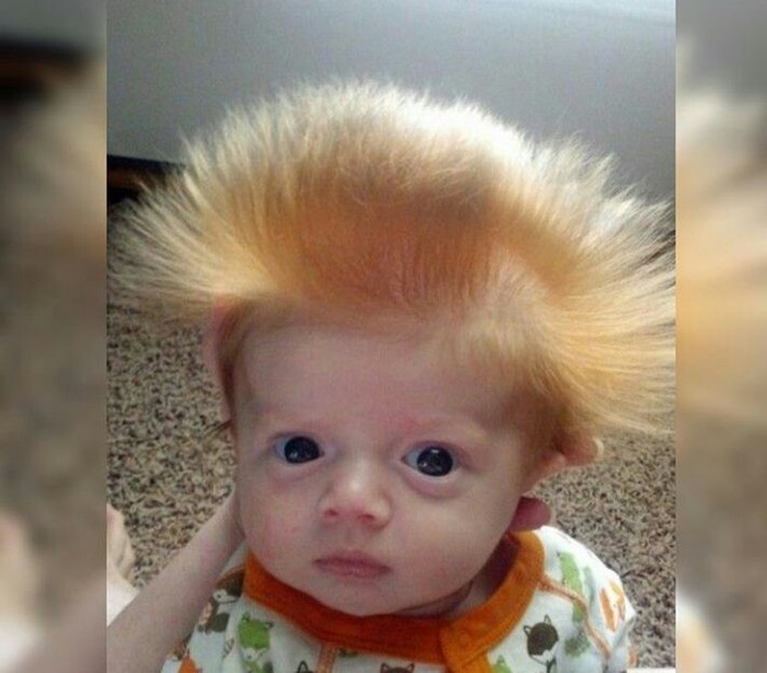 �� ���� �������