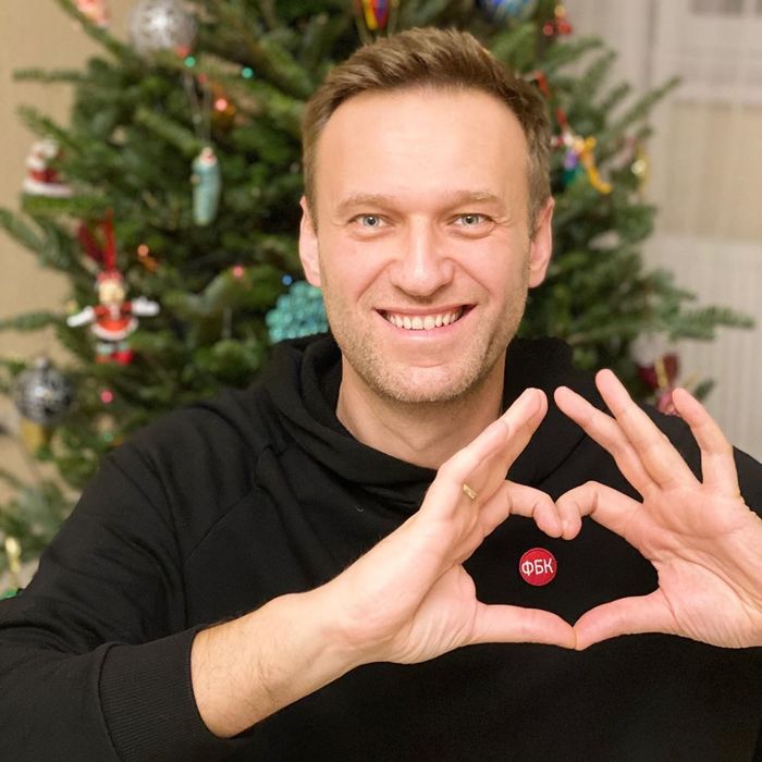 Новогоднее Любовь соболь, Алексей Навальный, Политика, Видео