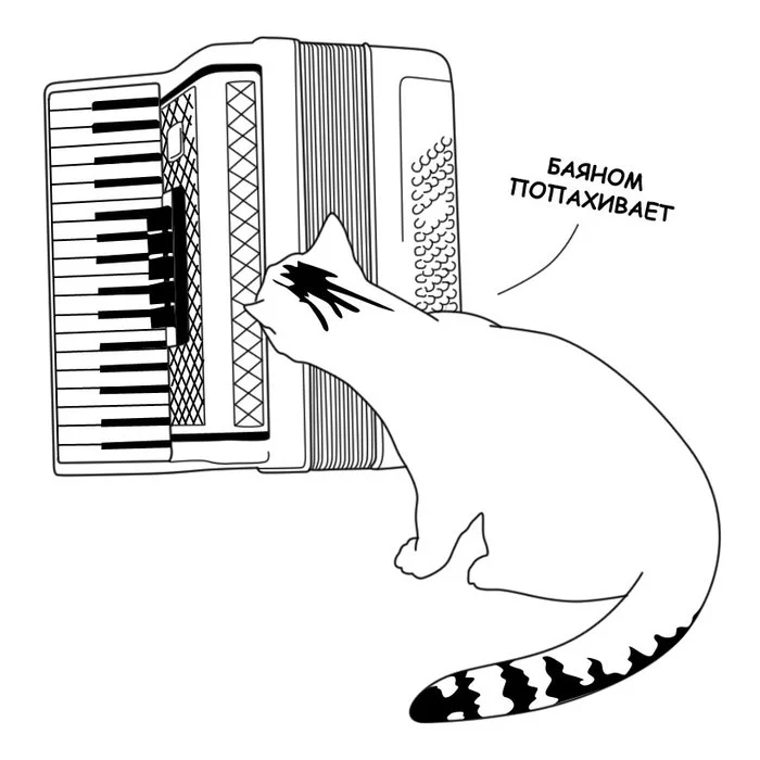 Smells like accordion - Accordion, cat, Images