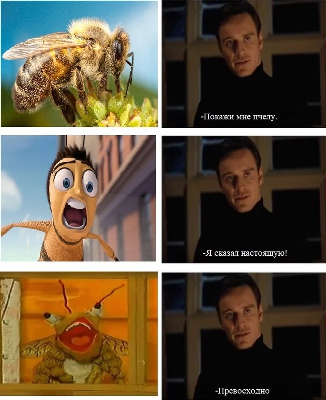 Bee - Bees, Michael fassbender, Fools village, Memes