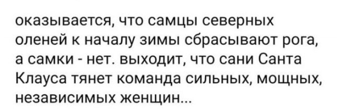 Зоология в комментариях - Комментарии на Пикабу, Северные олени, Санта-Клаус, Рога, Комментарии, Скриншот