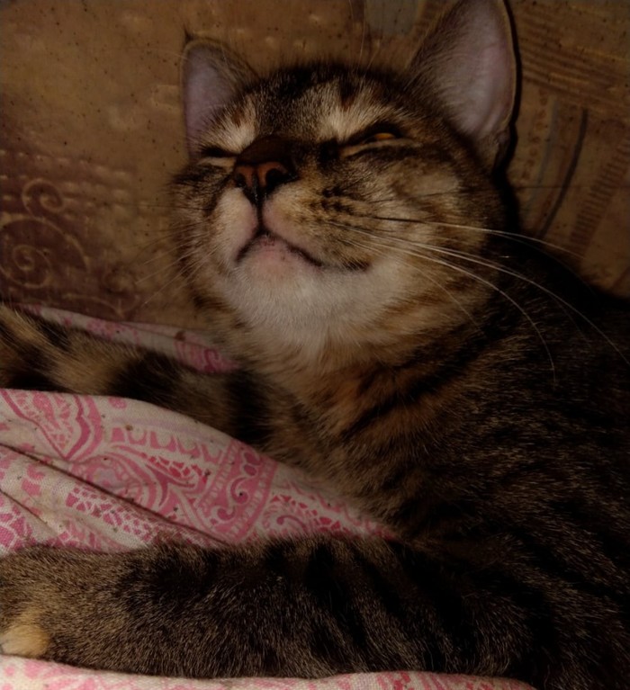 Повзрослела Карма