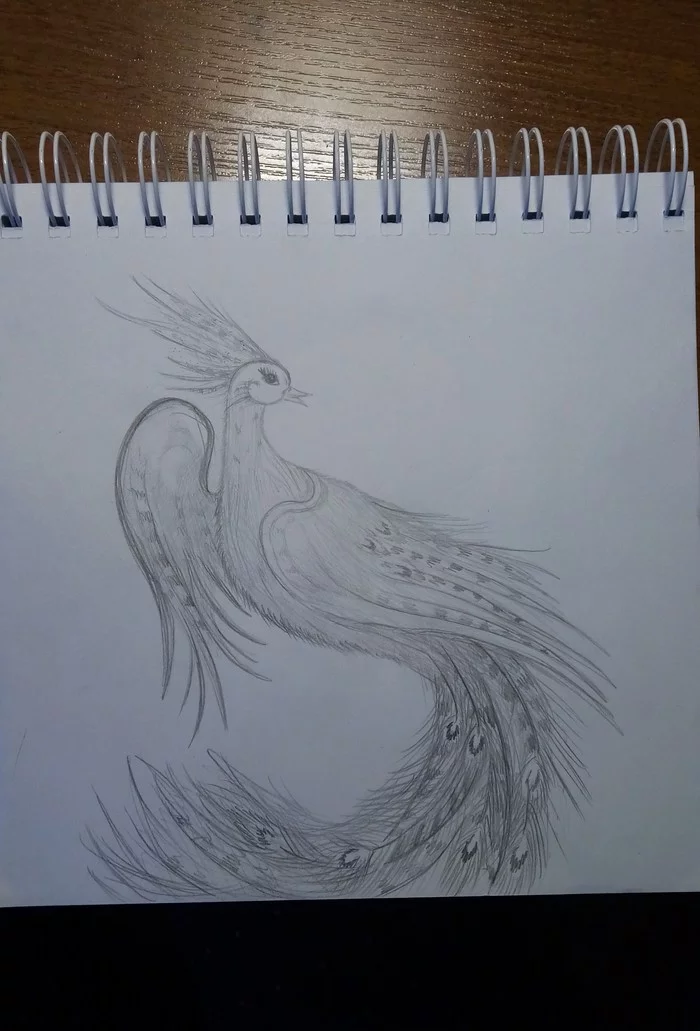 Drawings - My, Pencil drawing, The Bird of Happiness