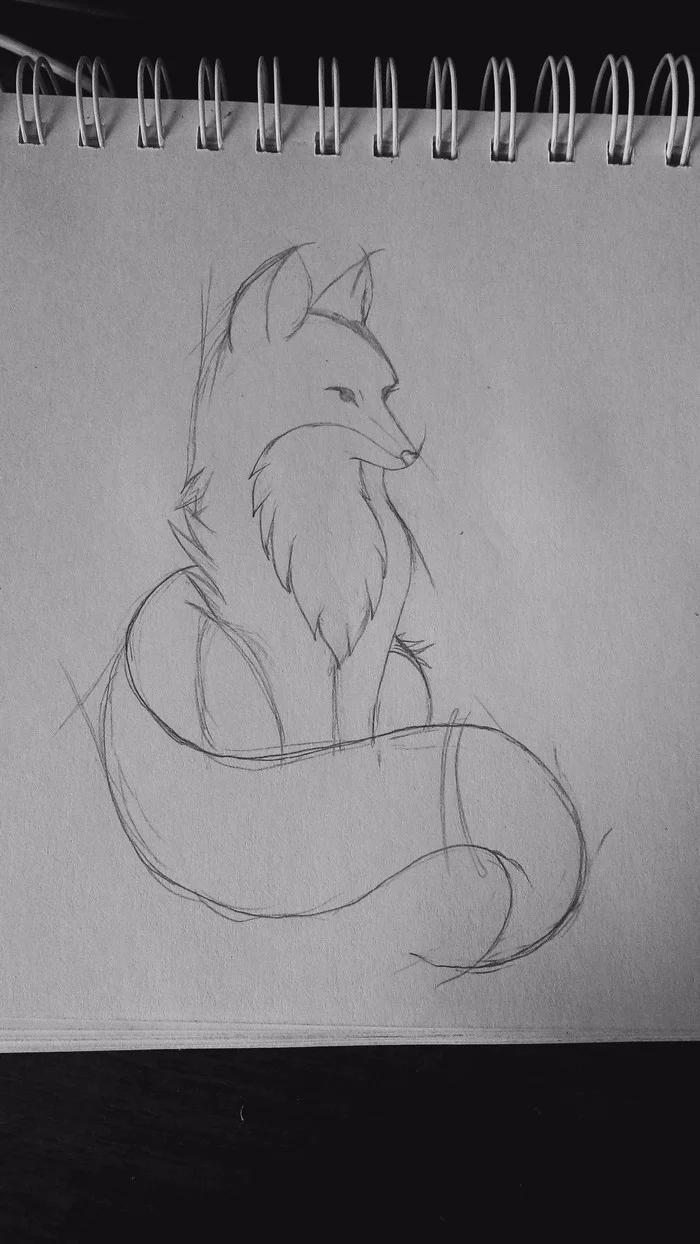 Drawings - My, Pencil drawing, Fox, Drawing, I want criticism, Beginner artist