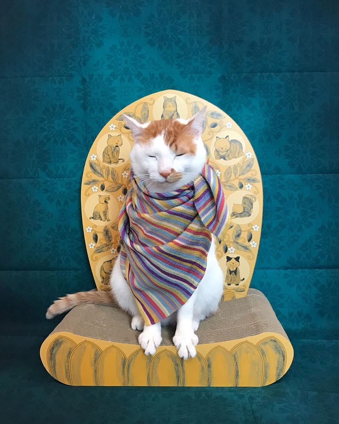 ��������