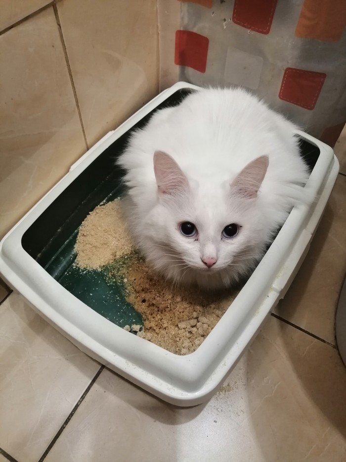 Отличное место, чтобы посидеть