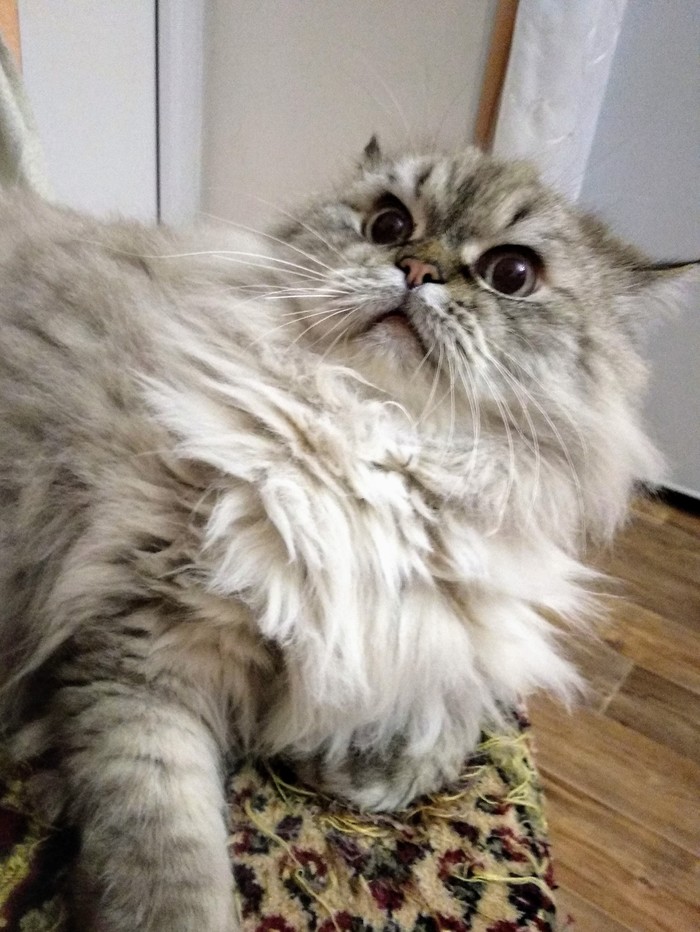 Мефодий Валерьевич крайне удивлен, что на работу уже завтра