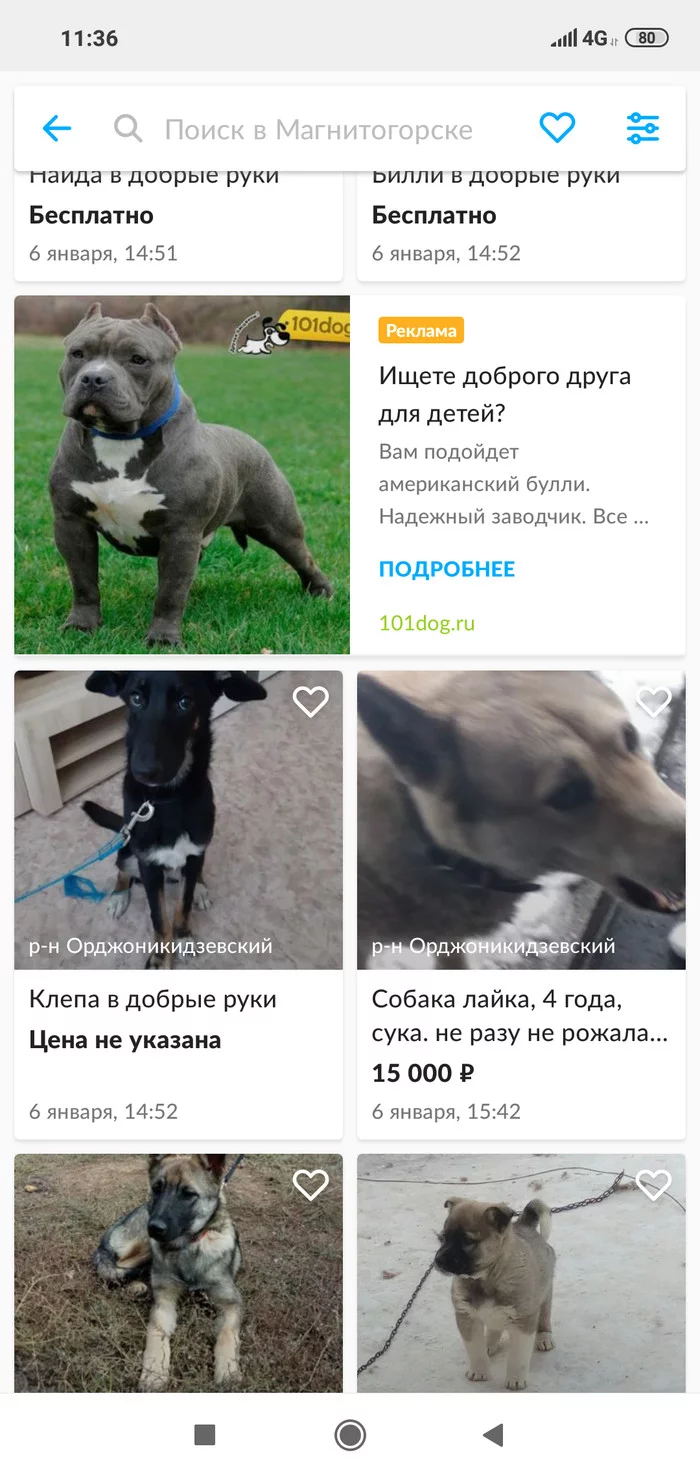 Good friend of children - Avito, Advertising, Screenshot, Dog