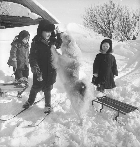 History of the USSR in photographs. No. 17 - the USSR, Story, The photo, A selection, Longpost