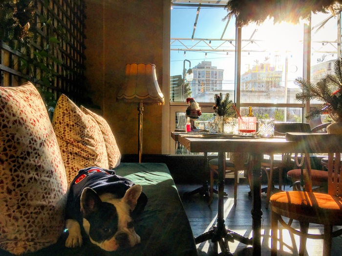 ��������� ����