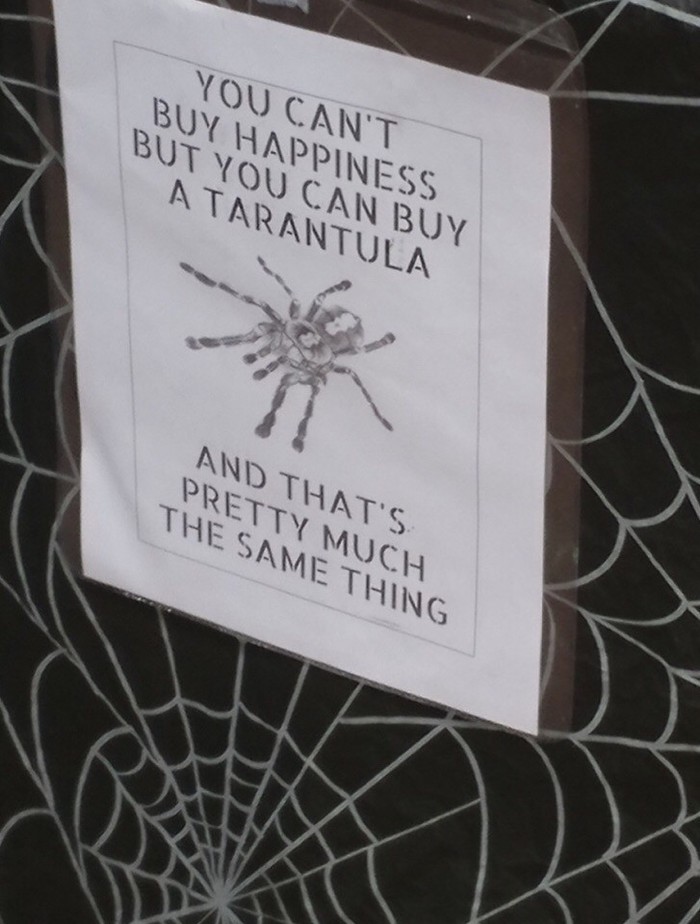 �� �� ������ ������ �������, �� ������ ������ ���������, � ��� ����� �� �� �����