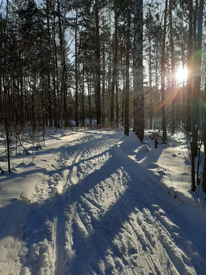 Семьей на лыжах - Моё, Фотография, Лыжня, Семья, Каникулы, Лес, Длиннопост