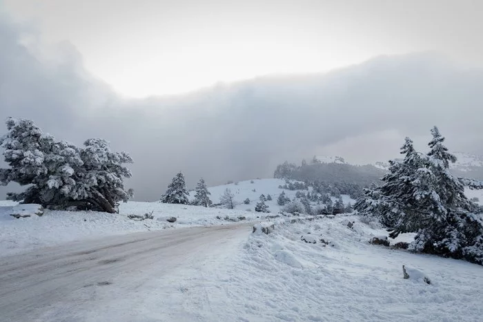 Snow fairy tale on Mount Ai-Petri - My, Crimea, Tavrida, Hike, Travels, Tourism, Adventures, Nature, Winter, Video, Longpost