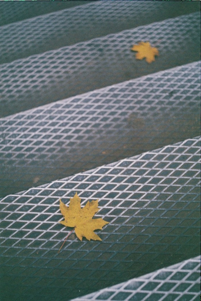 Любите плёнку?