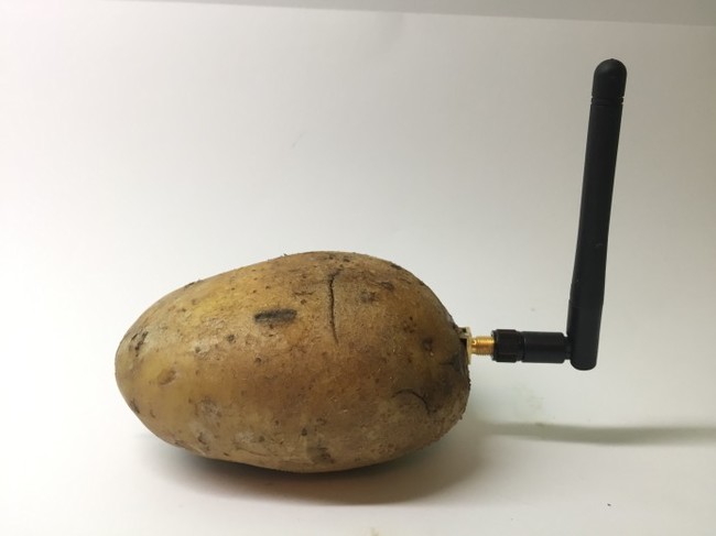 The French brought a device for communicating with potatoes to CES 2020 - CES, Potato, Longpost