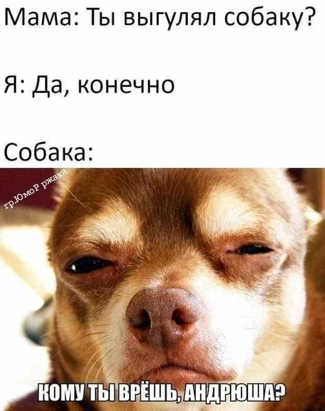 Эх, Андрюша