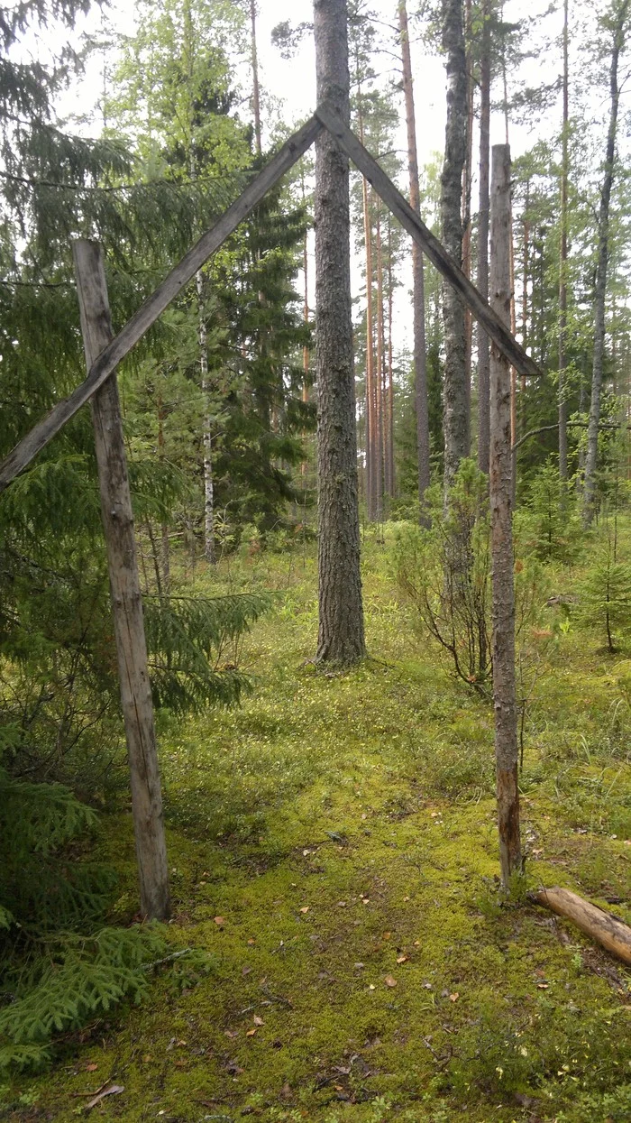 Remains of forest buildings - My, Nature, Forest, Find, Search the forest, Longpost