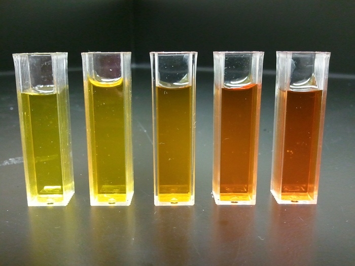 Как делают общий анализ мочи Анализ, Медицинские анализы, Лаборатория, Медицина, Длиннопост