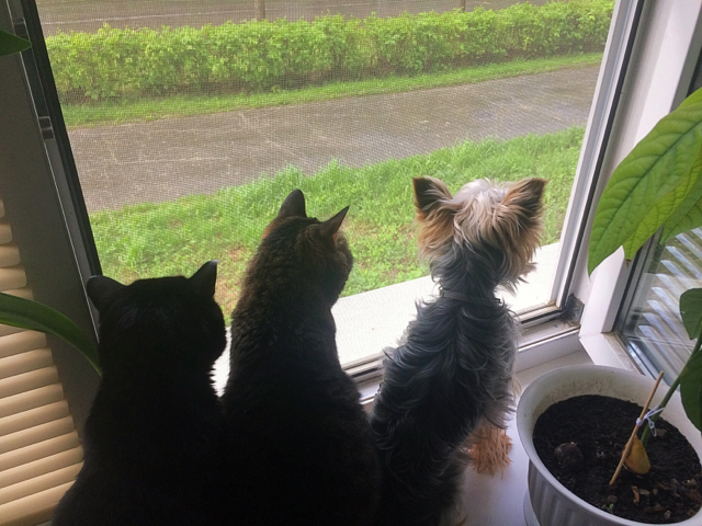 ���������� ������...