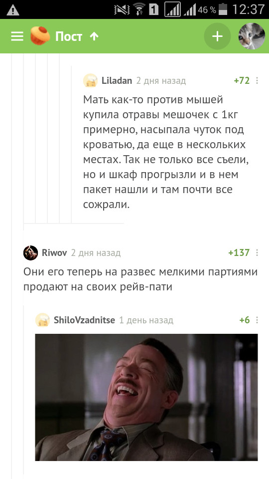 15788077291847856.jpg