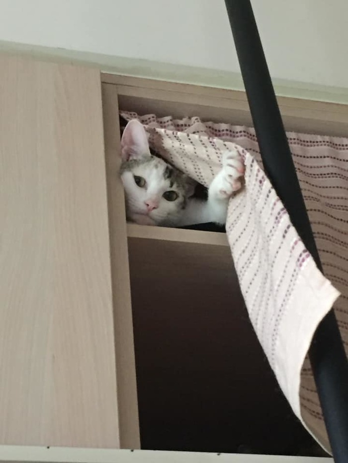    ?