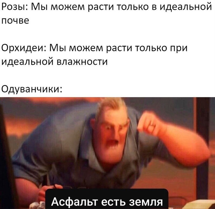    , ,   , 
