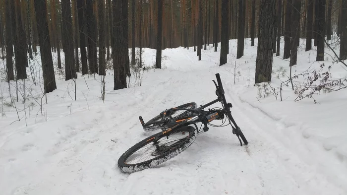 Turgoyak on a bike - My, A bike, Pokatushki, Snow, Forest, Turgoyak, Miass, Longpost