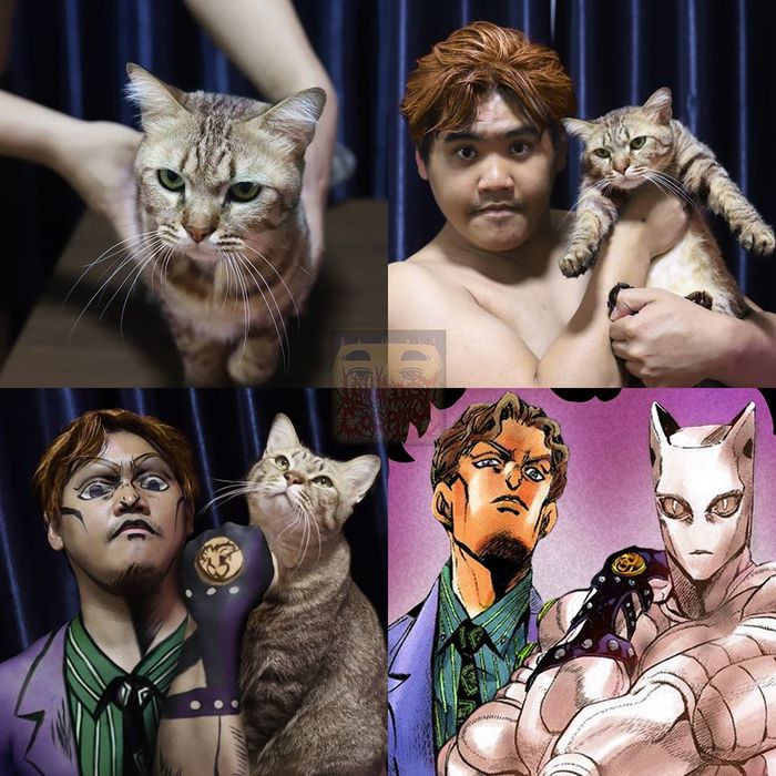STAND NAME  KILLER QUEEN | STAND USER  LOWCOSTCOSPLAY Lowcost cosplay, , Jojos Bizarre Adventure, Yoshikage Kira, Diamond is Unbreakable, Killer Queen, 
