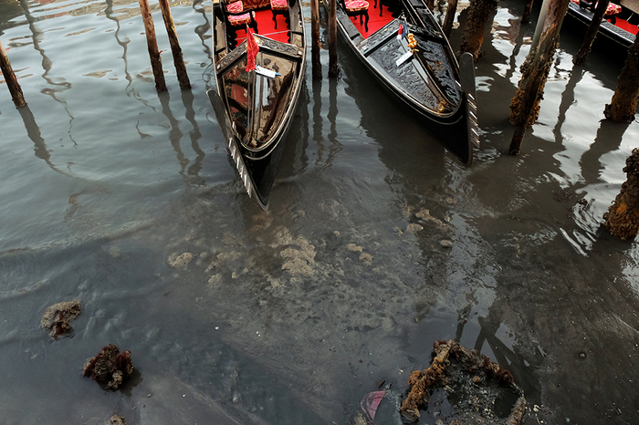 В Венеции пересохли знаменитые каналы Новости, Венеция, Италия, Вода, Канал, Катастрофа, Природа, Отлив, Длиннопост