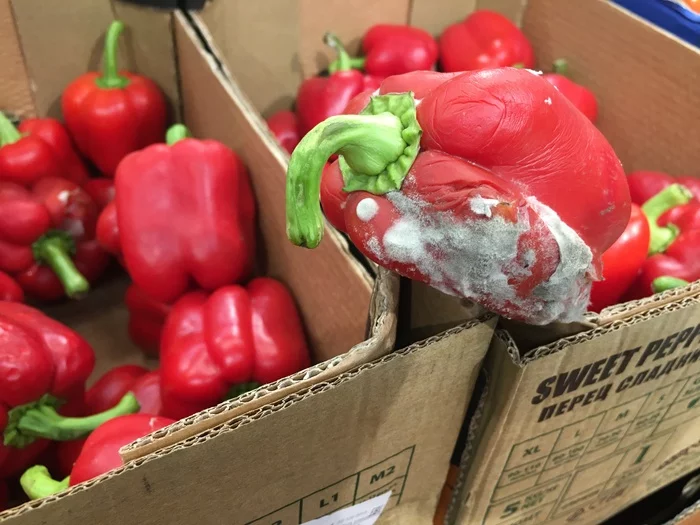 When a Freshness Director Needs a Freshness Director - My, Dixie, Mold, Quality, Longpost