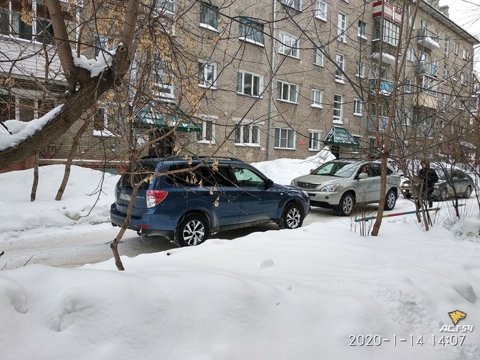 Дай дорогу дураку