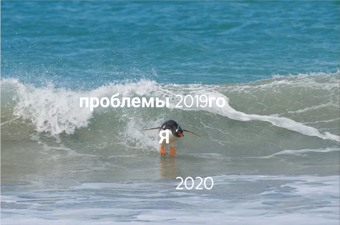 And so every year - New Year, Memes, Animals, Sea