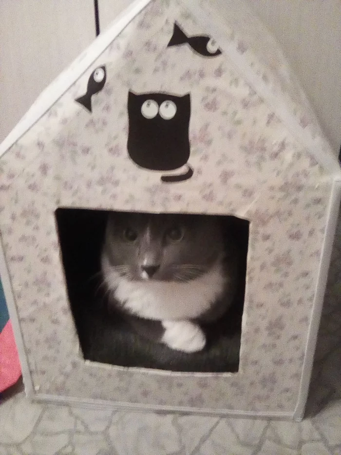 Do-it-yourself cathouse - My, Catomafia, cat, Milk, cat house, Longpost