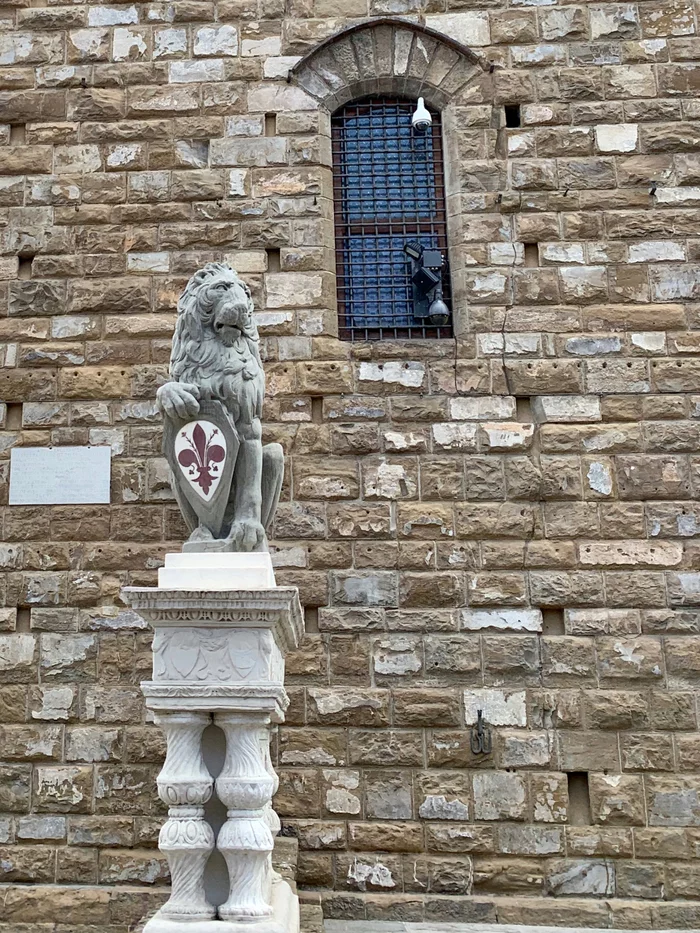 Florentine Lion - My, a lion, Florence, Italy, Travels, The photo, Lily