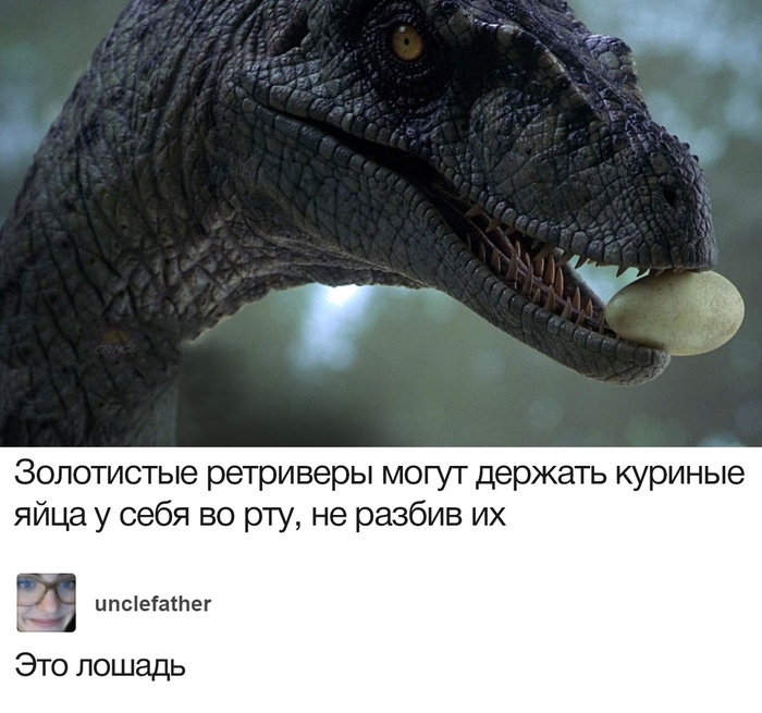 Когда у тебя действительно плохое зрение