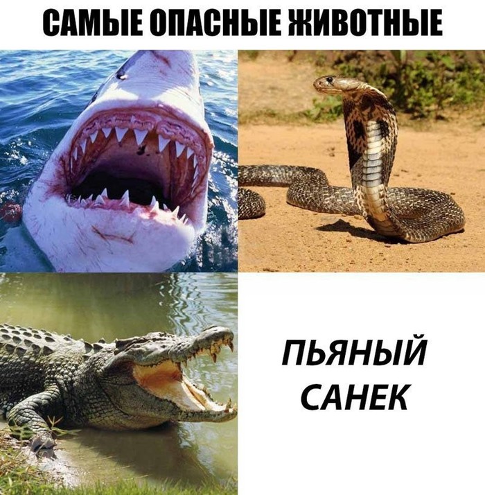 Особо опасен