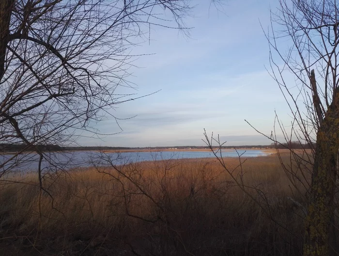 Looking for perch - My, Fishing, Spinning, Perch, Nature, River, Longpost