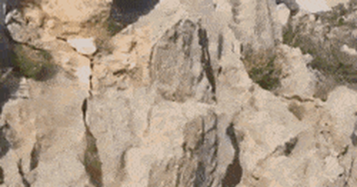 A bear can easily climb onto a rock in seconds - GIF, The Bears, Interesting, The rocks, Rock climbing