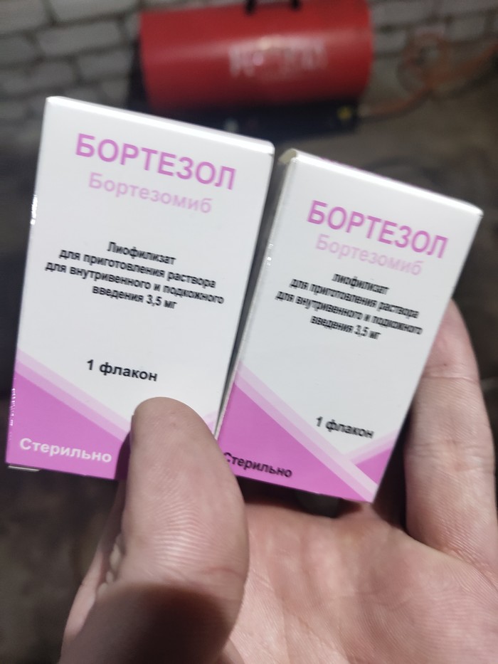 ��������. �����. ������ ��������