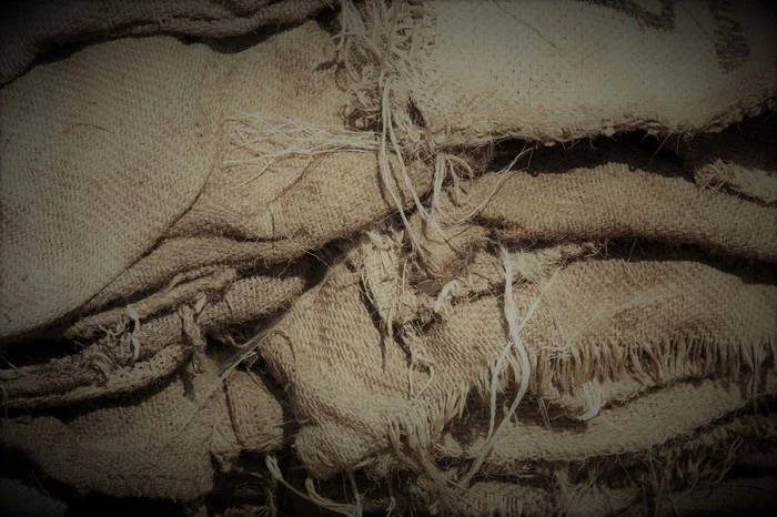 Jute bag - My, Literature, Psychological thriller, friendship, Sadness, Longpost