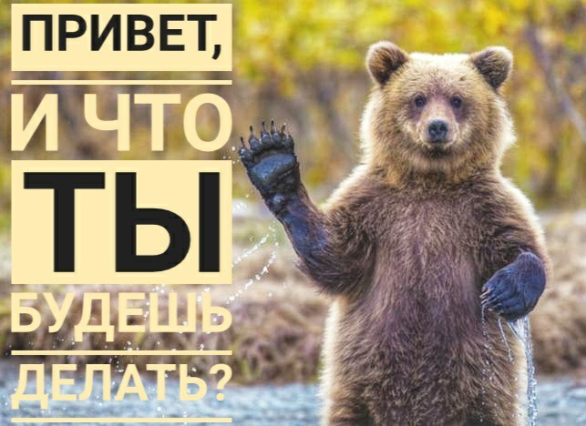 Воспитание Дальним Востоком - Моё, Первая встреча, Тайга, Медведи, Мат