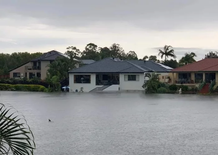 In Australia, a shark swam through flooded streets - Shark, Australia, Flood