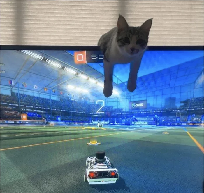 Я помогаю? - Кот, Видеоигра, Rocket league, Картинки, Reddit