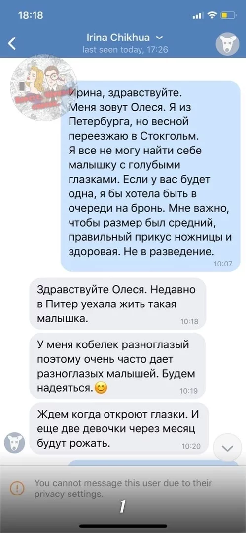 Мошенничество при продаже щенков - Помски, Мошенничество, Недобросовестный заводчик, Обманщики, Лига юристов, Длиннопост, Юридическая помощь