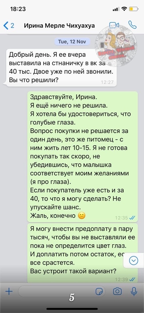 Мошенничество при продаже щенков - Помски, Мошенничество, Недобросовестный заводчик, Обманщики, Лига юристов, Длиннопост, Юридическая помощь