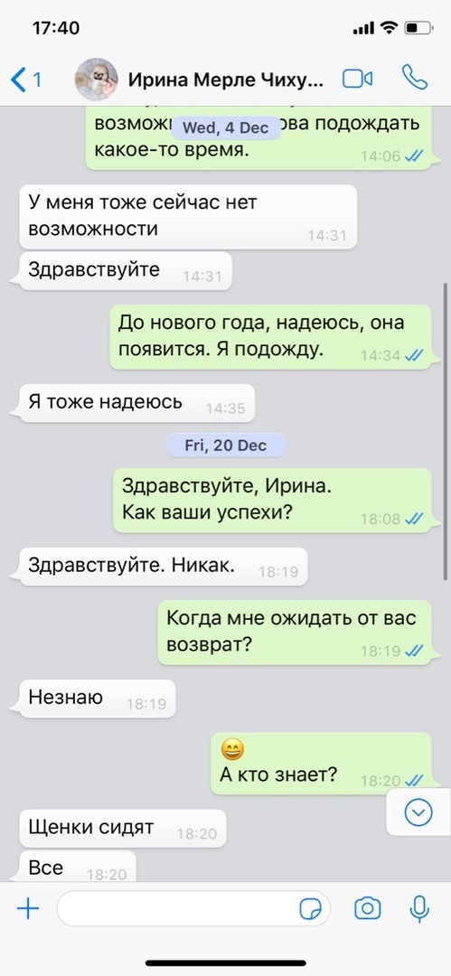 Мошенничество при продаже щенков - Помски, Мошенничество, Недобросовестный заводчик, Обманщики, Лига юристов, Длиннопост, Юридическая помощь