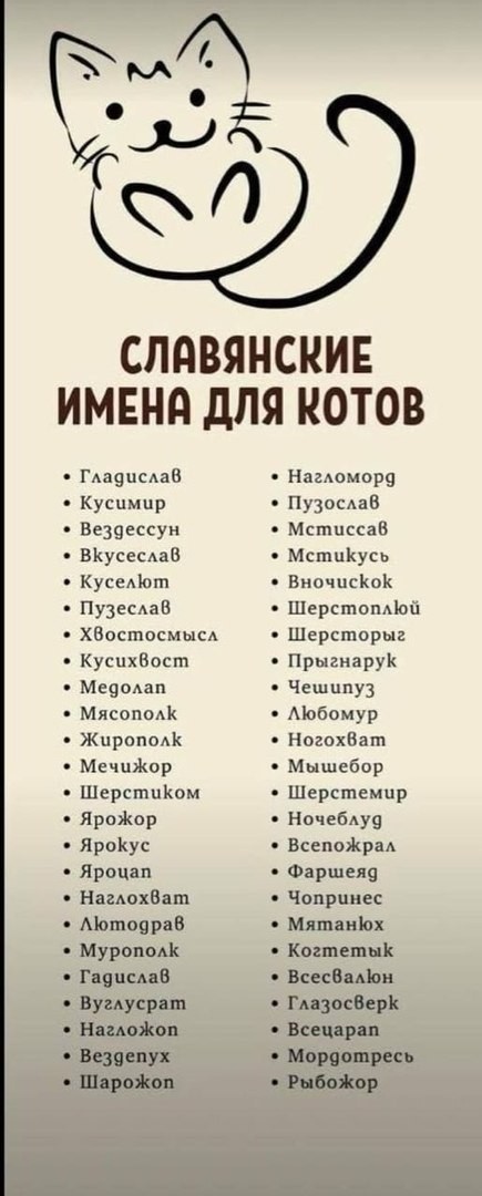 Славянские имена для котов | Пикабу