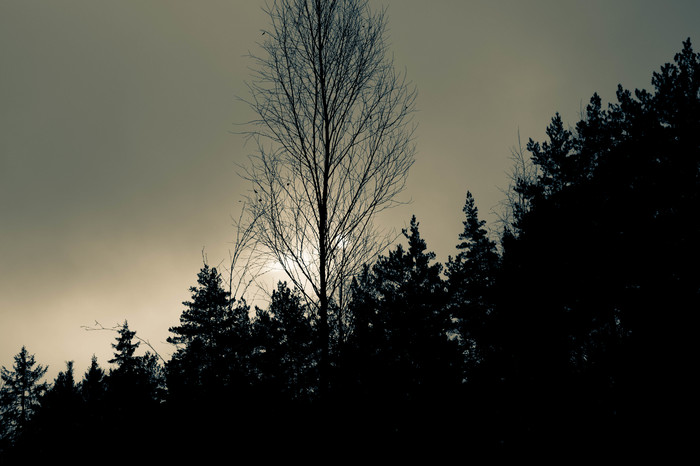 Напротив солнца