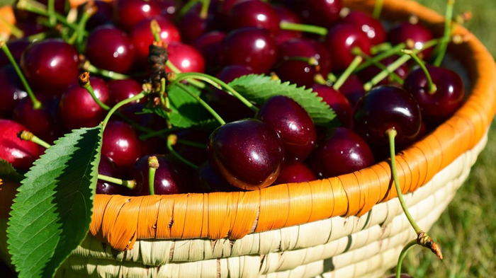 Черешневые друзья