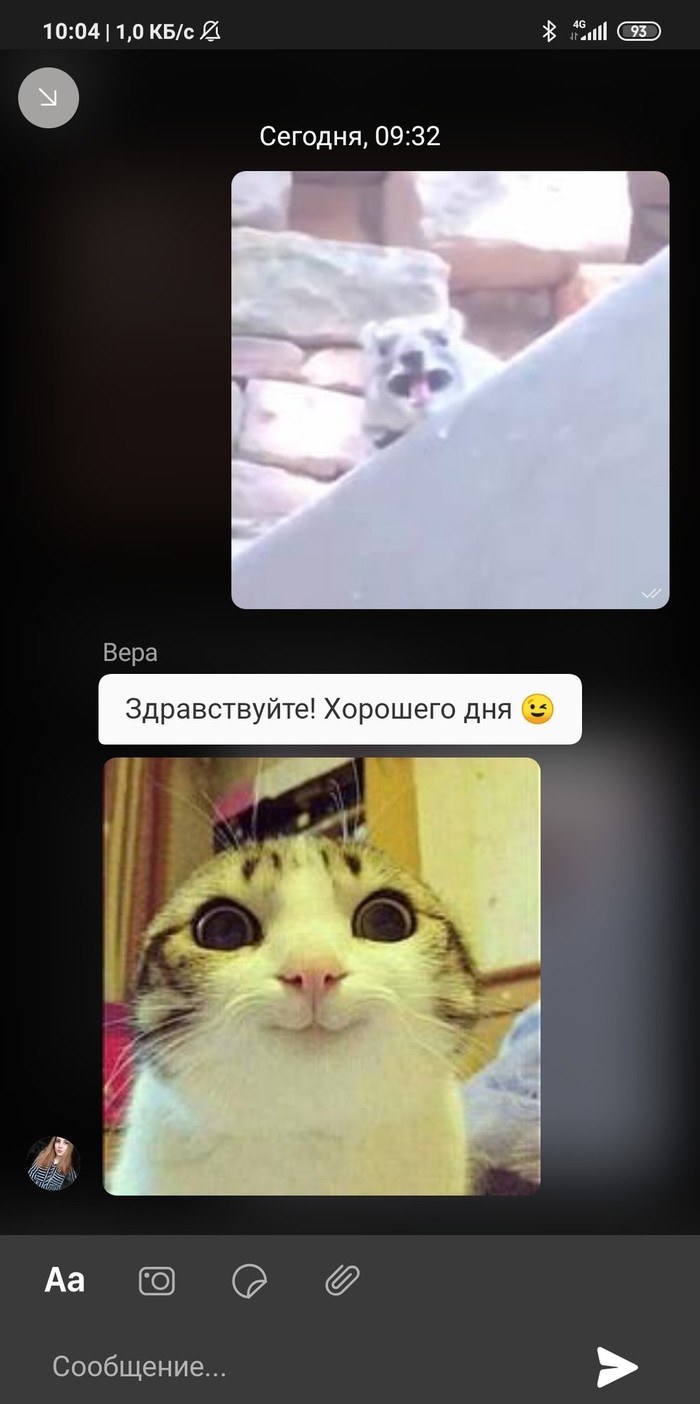 Поддержка рокетбанка